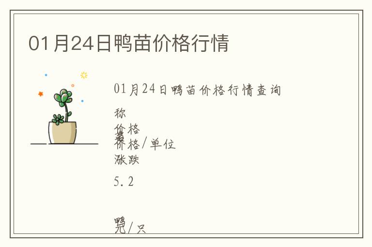 01月24日鴨苗價格行情