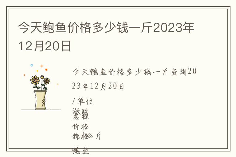 今天鮑魚(yú)價(jià)格多少錢一斤2023年12月20日