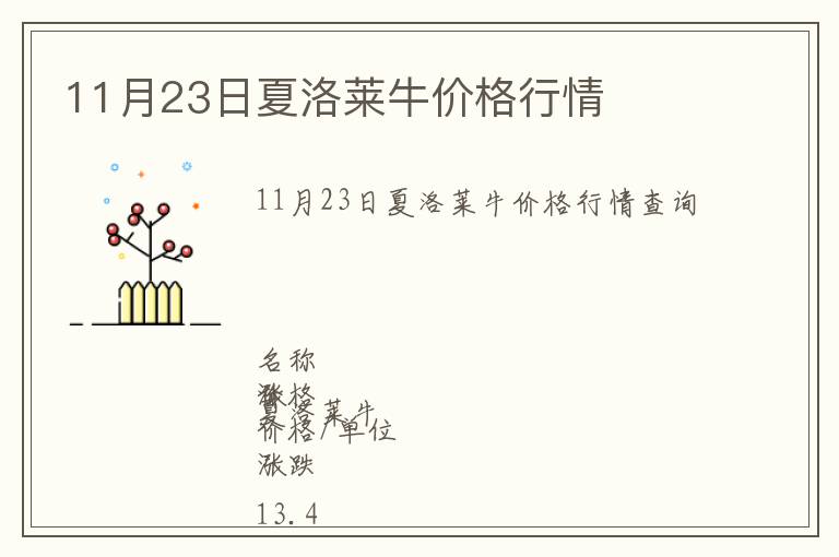 11月23日夏洛萊牛價格行情