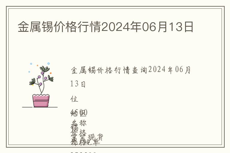 金屬錫價(jià)格行情2024年06月13日