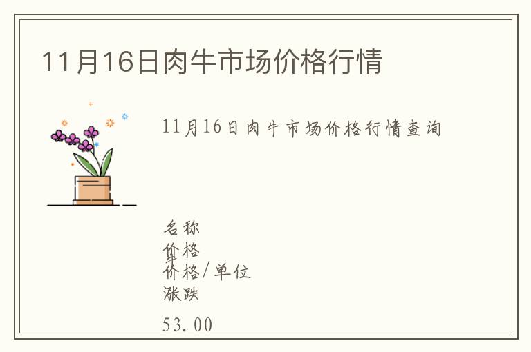 11月16日肉牛市場(chǎng)價(jià)格行情