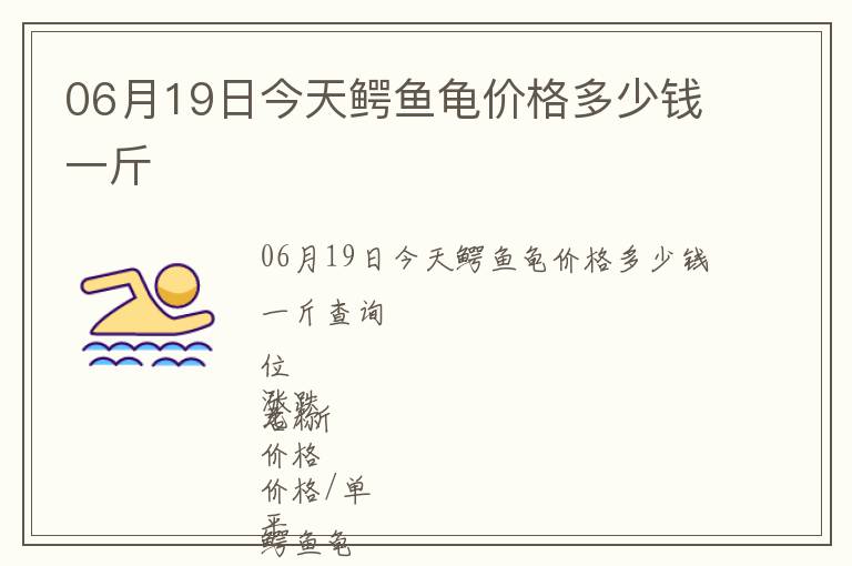 06月19日今天鱷魚(yú)龜價(jià)格多少錢(qián)一斤