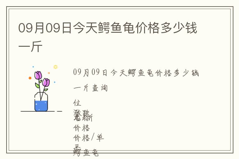 09月09日今天鱷魚龜價(jià)格多少錢一斤