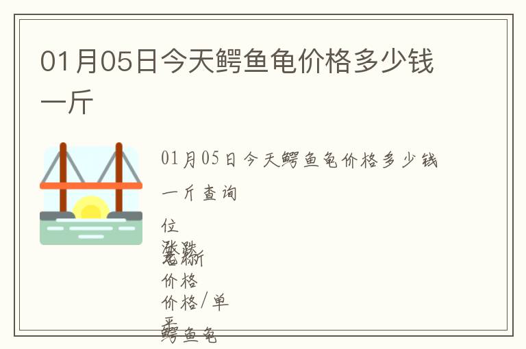 01月05日今天鱷魚龜價(jià)格多少錢一斤