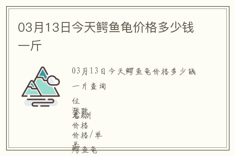 03月13日今天鱷魚(yú)龜價(jià)格多少錢(qián)一斤