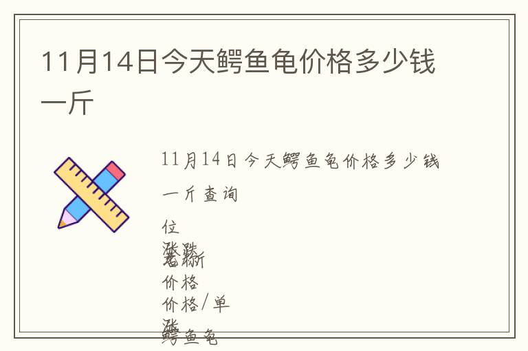 11月14日今天鱷魚(yú)龜價(jià)格多少錢(qián)一斤