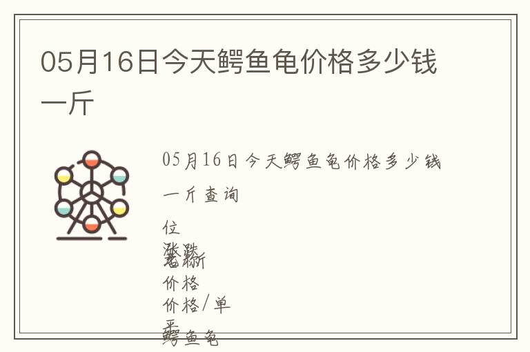 05月16日今天鱷魚龜價(jià)格多少錢一斤