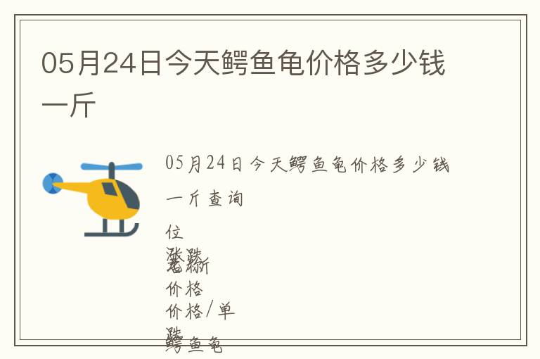 05月24日今天鱷魚龜價(jià)格多少錢一斤
