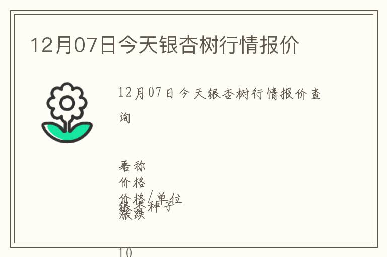 12月07日今天銀杏樹行情報(bào)價(jià)