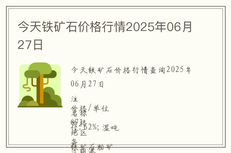 今天鐵礦石價格行情2025年06月27日