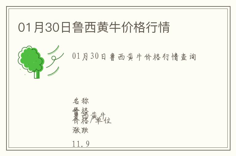 01月30日魯西黃牛價(jià)格行情