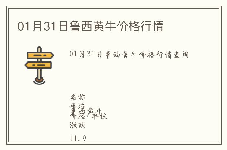 01月31日魯西黃牛價格行情