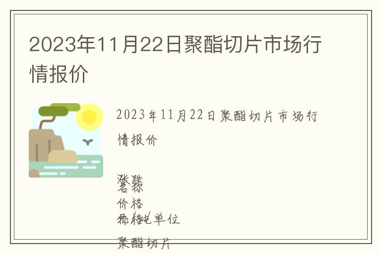 2023年11月22日聚酯切片市場行情報(bào)價(jià)