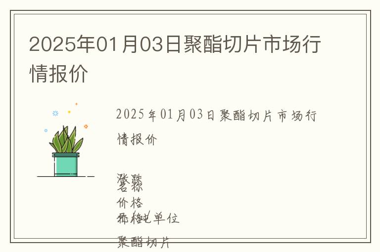 2025年01月03日聚酯切片市場行情報(bào)價(jià)