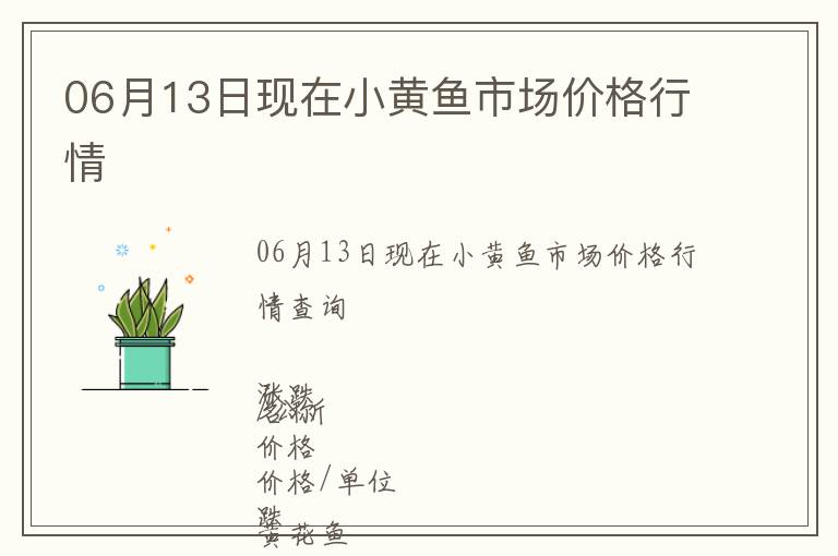 06月13日現(xiàn)在小黃魚市場價格行情