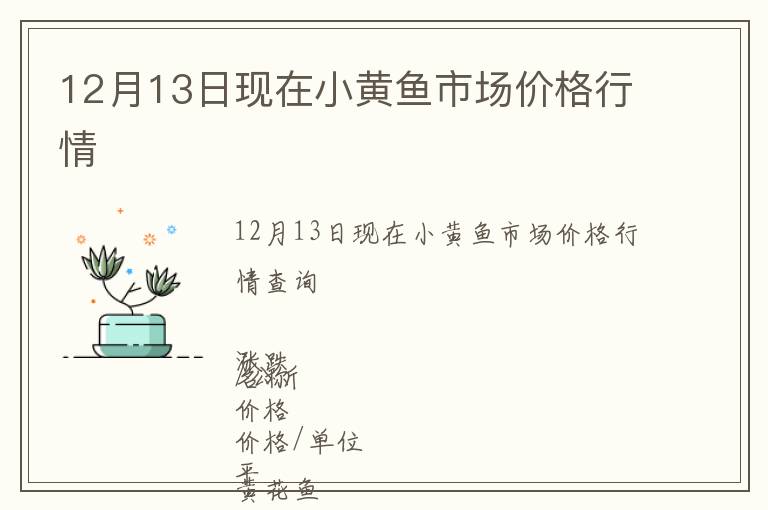 12月13日現(xiàn)在小黃魚市場價格行情