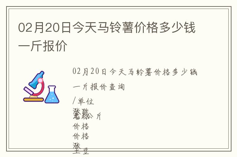 02月20日今天馬鈴薯價(jià)格多少錢一斤報(bào)價(jià)