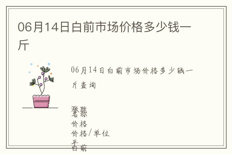 06月14日白前市場價格多少錢一斤