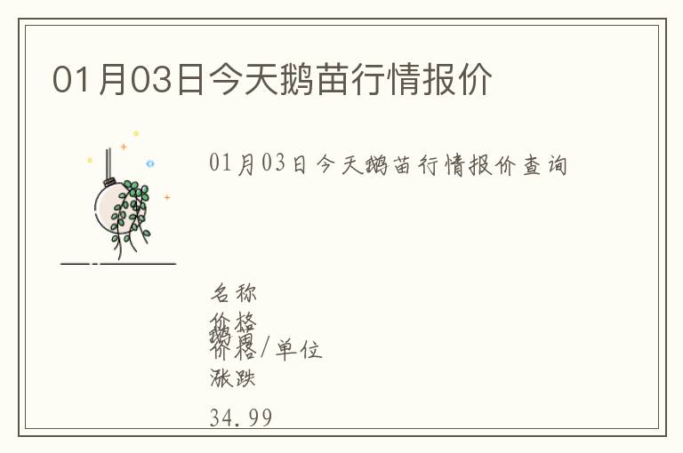 01月03日今天鵝苗行情報價