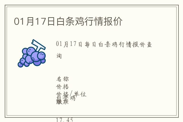 01月17日白條雞行情報價