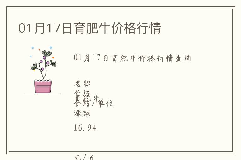 01月17日育肥牛價格行情