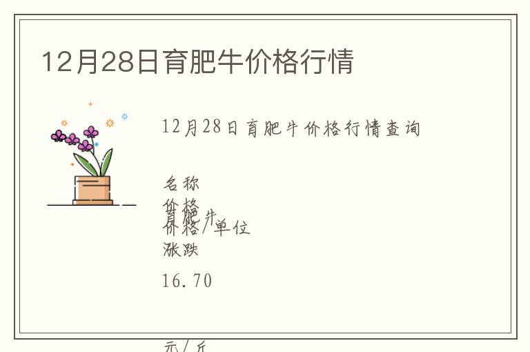 12月28日育肥牛價格行情