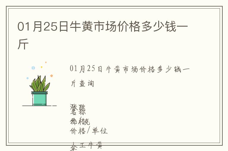 01月25日牛黃市場價(jià)格多少錢一斤