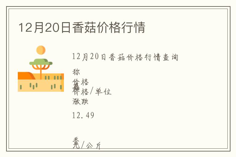 12月20日香菇價格行情