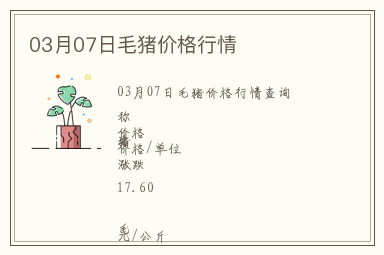 03月07日毛豬價格行情