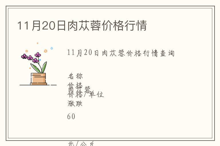 11月20日肉蓯蓉價(jià)格行情