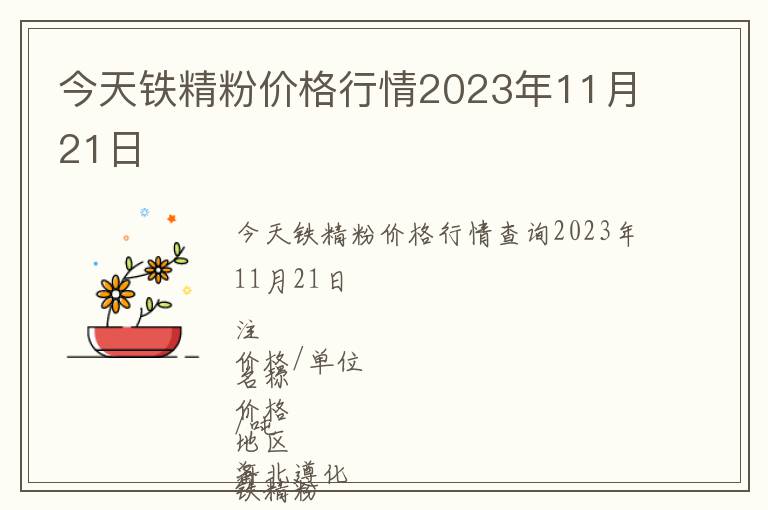 今天鐵精粉價格行情2023年11月21日