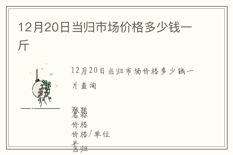 12月20日當(dāng)歸市場(chǎng)價(jià)格多少錢一斤