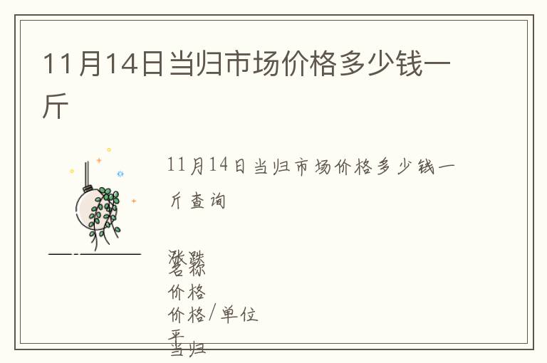 11月14日當(dāng)歸市場(chǎng)價(jià)格多少錢(qián)一斤