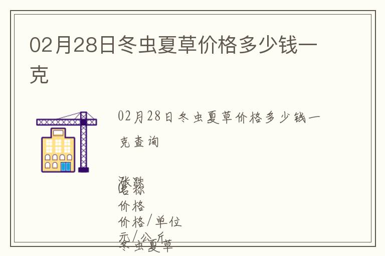02月28日冬蟲夏草價格多少錢一克