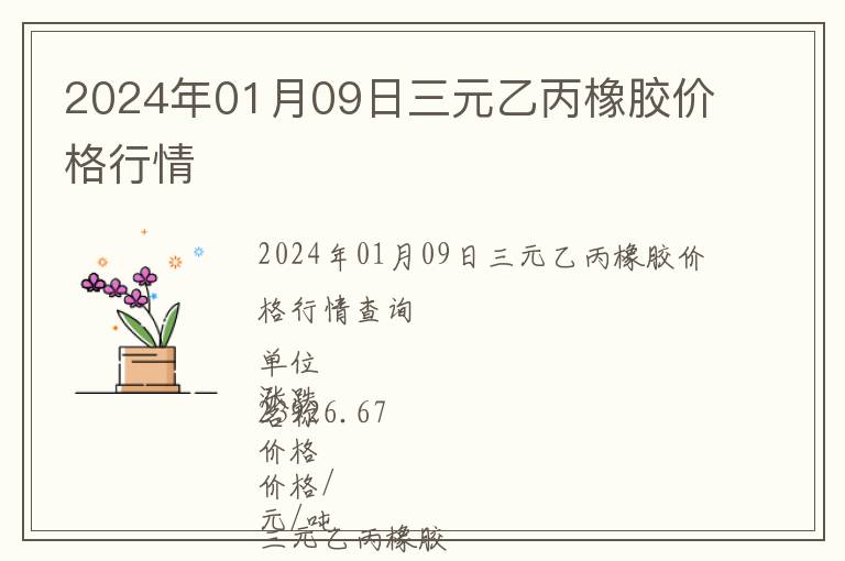 2024年01月09日三元乙丙橡膠價(jià)格行情