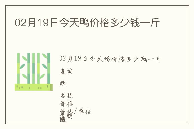 02月19日今天鴨價格多少錢一斤