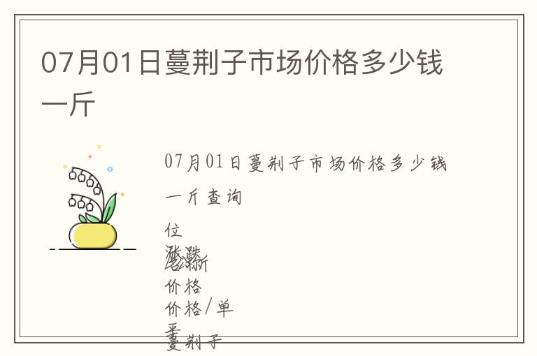 07月01日蔓荊子市場價(jià)格多少錢一斤