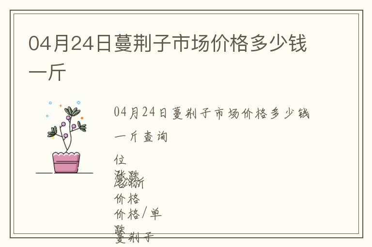 04月24日蔓荊子市場(chǎng)價(jià)格多少錢一斤