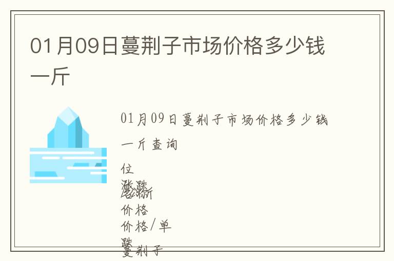 01月09日蔓荊子市場(chǎng)價(jià)格多少錢一斤