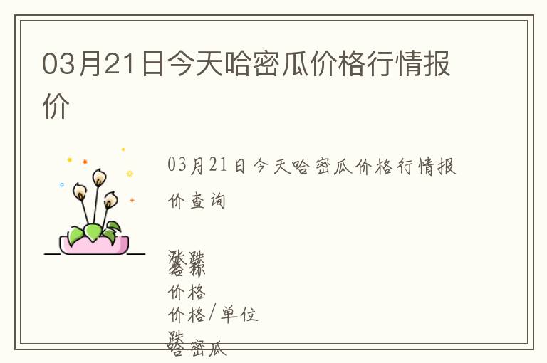 03月21日今天哈密瓜價(jià)格行情報(bào)價(jià)