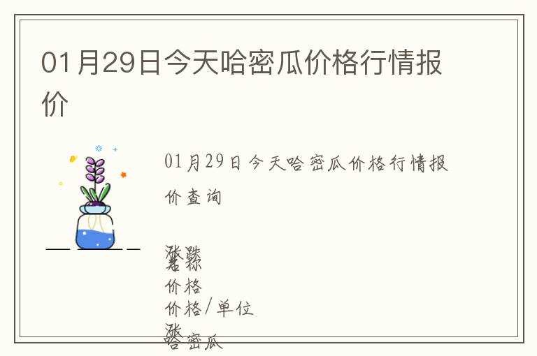 01月29日今天哈密瓜價(jià)格行情報(bào)價(jià)