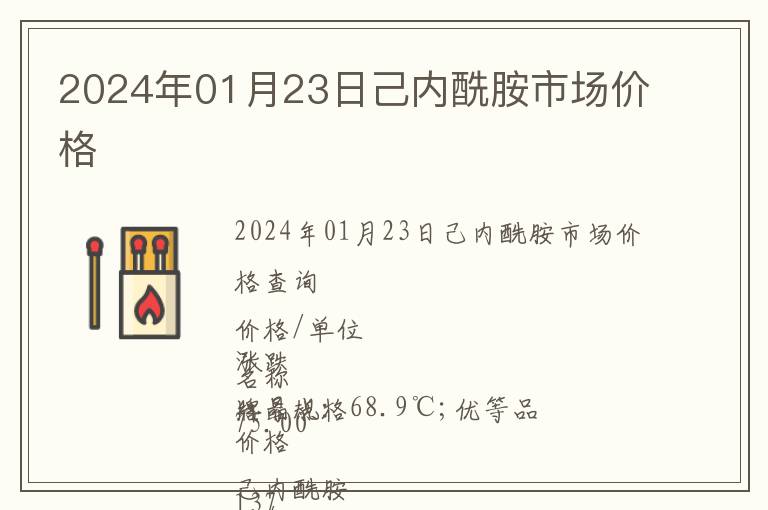 2024年01月23日己內酰胺市場價格