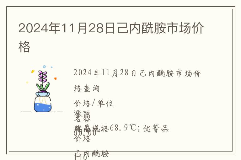 2024年11月28日己內(nèi)酰胺市場(chǎng)價(jià)格