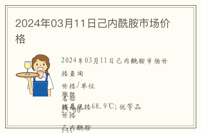 2024年03月11日己內酰胺市場價格