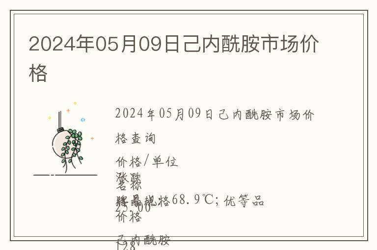 2024年05月09日己內(nèi)酰胺市場(chǎng)價(jià)格