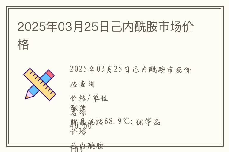 2025年03月25日己內(nèi)酰胺市場價格