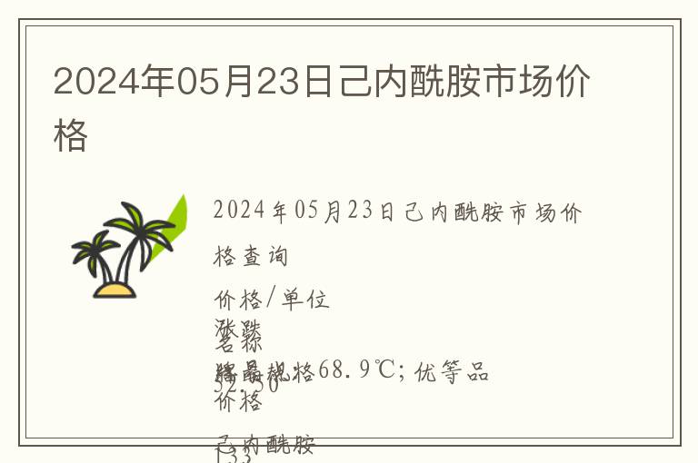 2024年05月23日己內酰胺市場價格