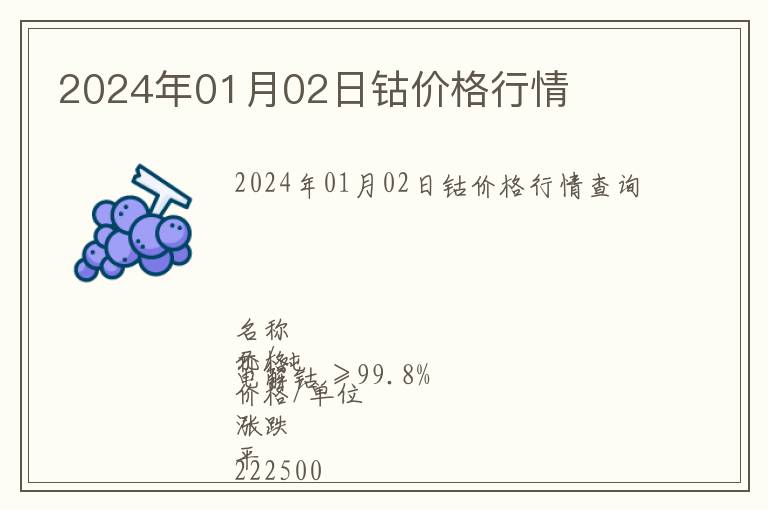 2024年01月02日鈷價(jià)格行情