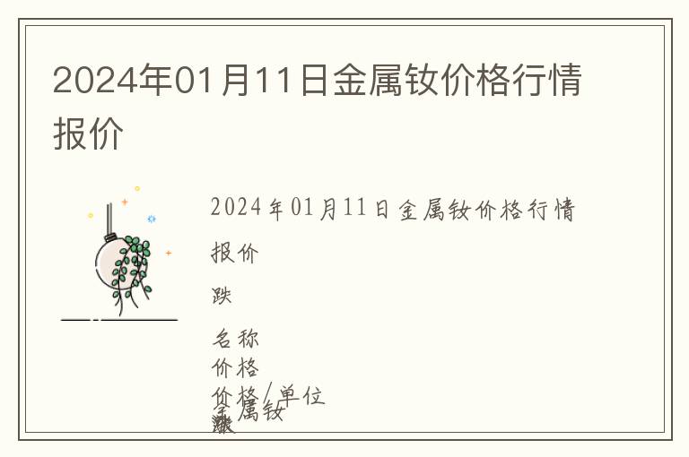 2024年01月11日金屬釹價(jià)格行情報(bào)價(jià)